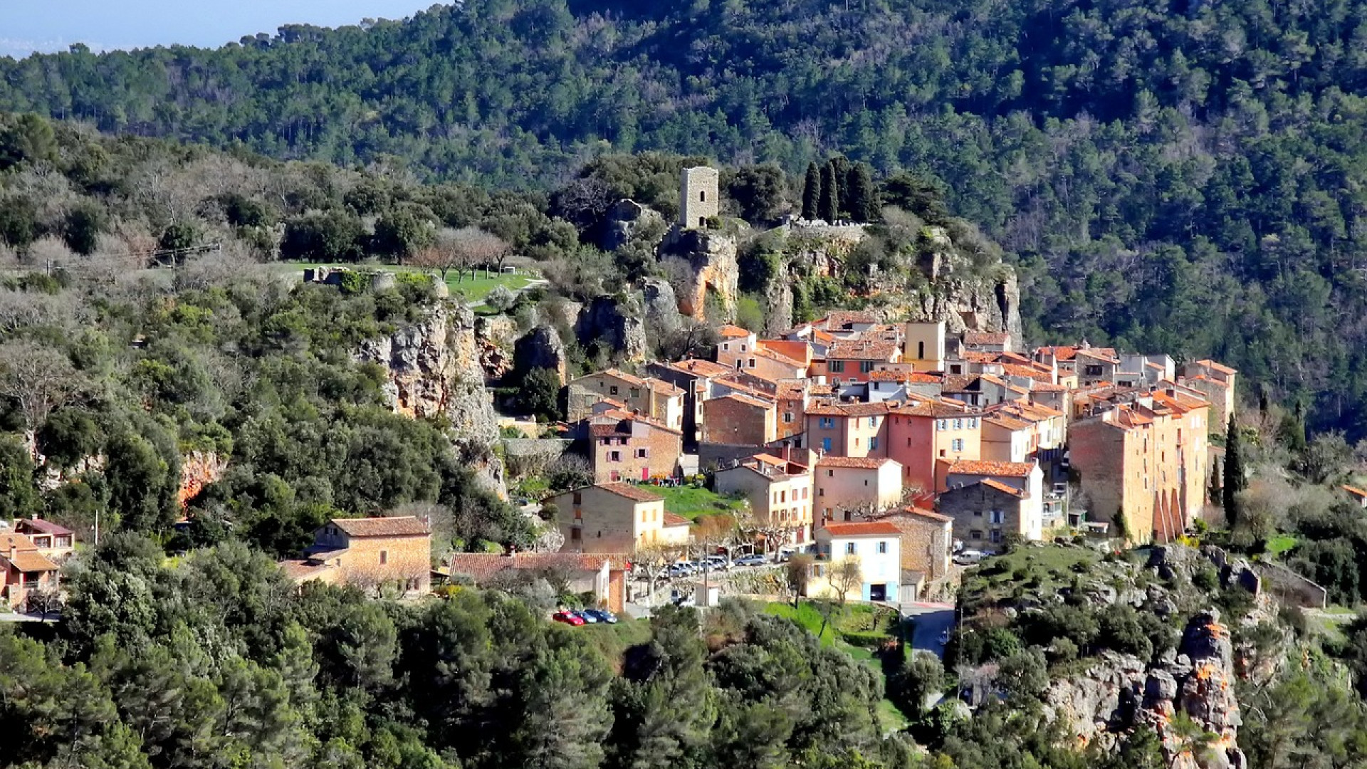 Var : deux raisons pour toujours consommer local