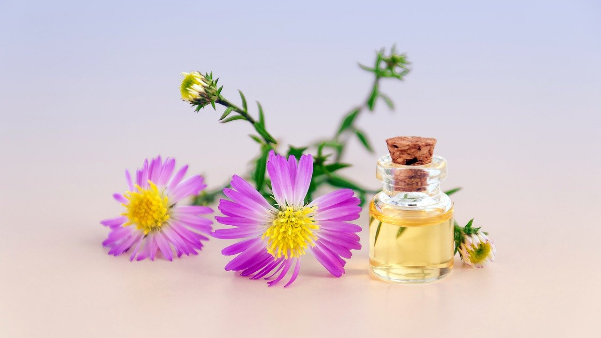 3 formes de cellulite peuvent impacter votre quotidien